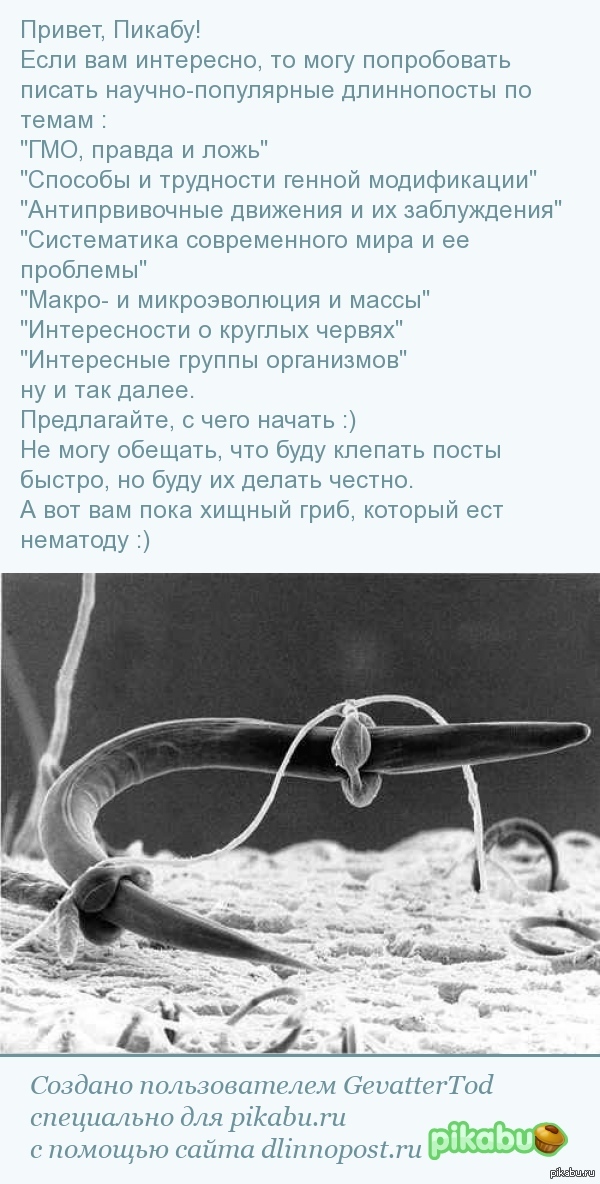�������� ����� �� ������ ��? :)