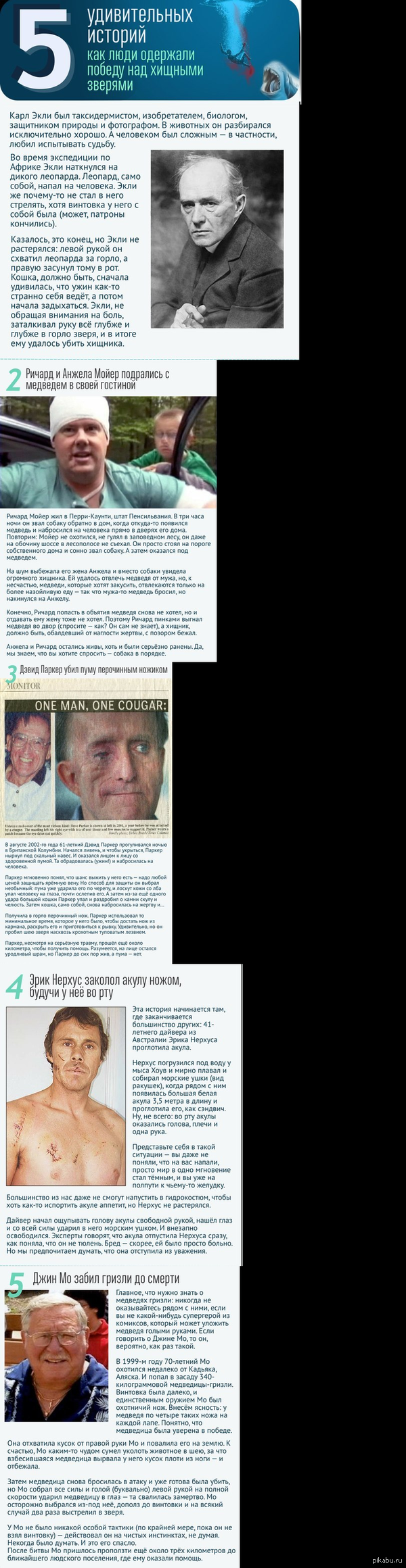 5 удивительных историй как люди одержали победу над дикими зверями
