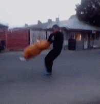    !!! 