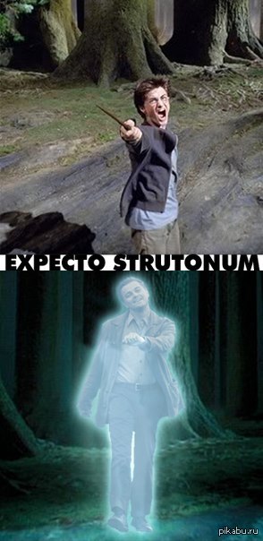 expekto leonardom!!! 