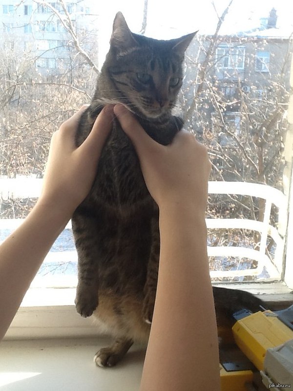 Да отпусти ты уже меня