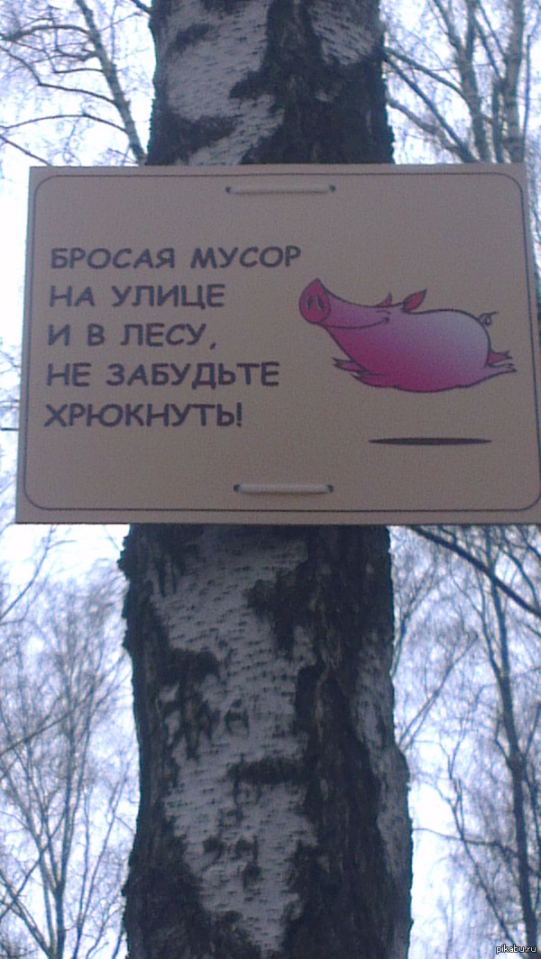 Не забудьте хрюкнуть!