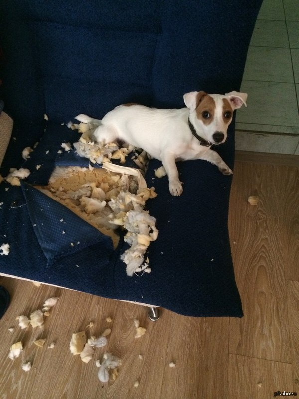 � ��� ����� ��������?)