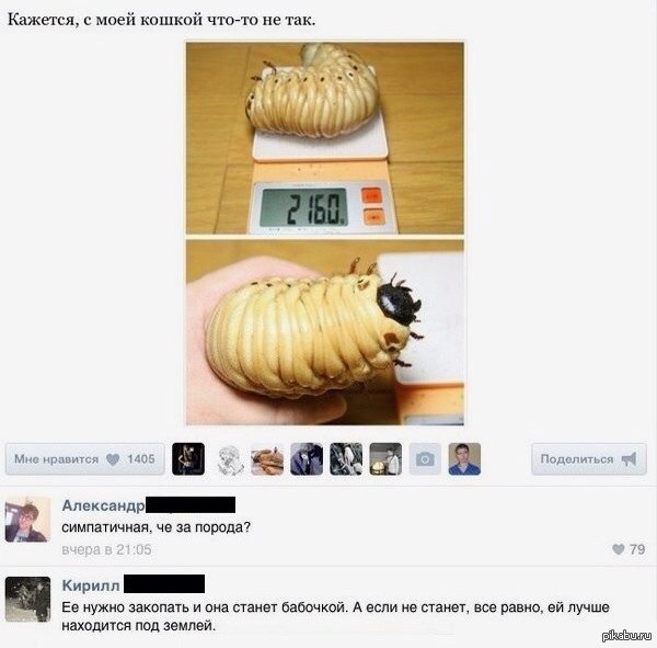     -  .... 