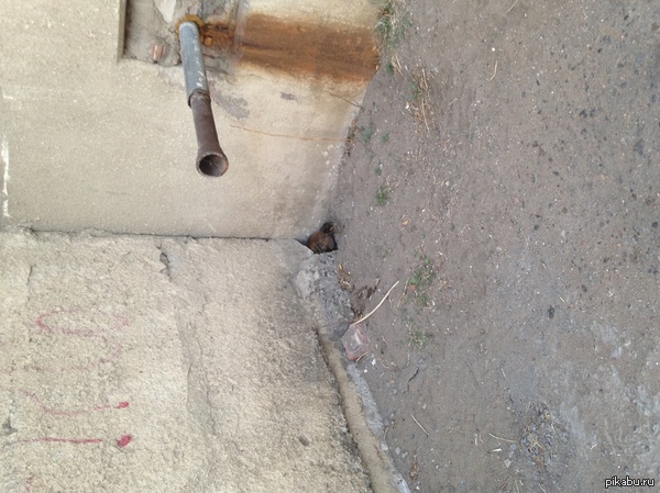 ��� - ������ ����������