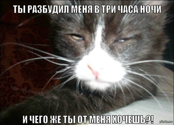 -   