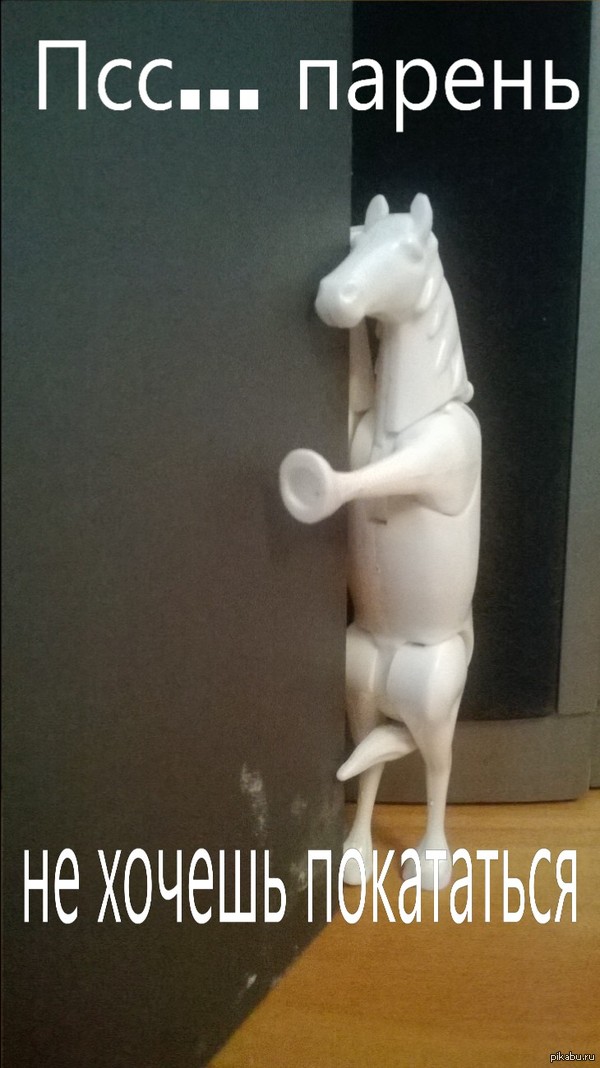 �����...������!