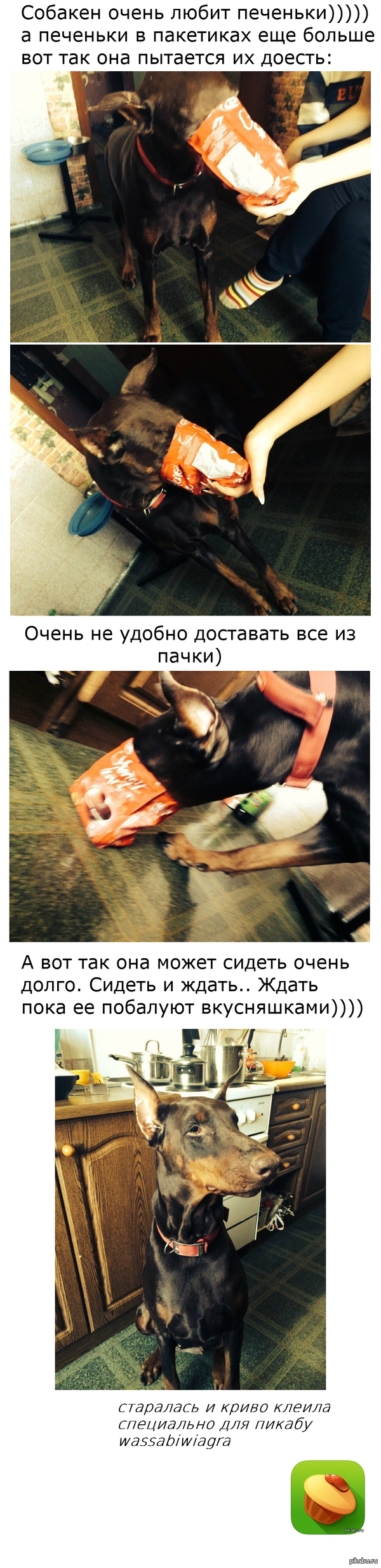 ������ � ��������)