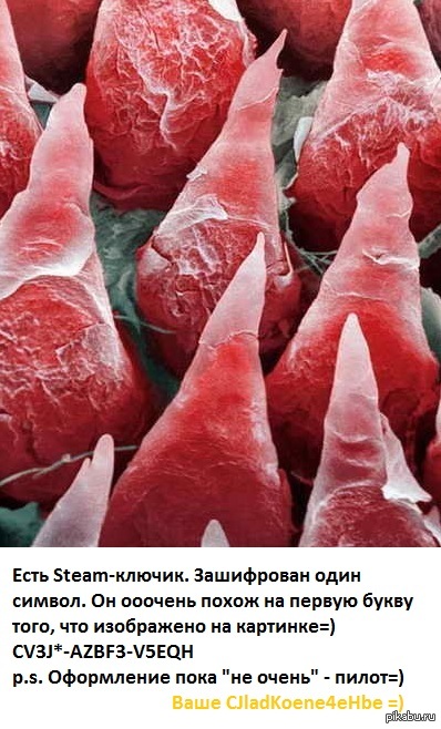 Steam-ключик-головоломка=) #0