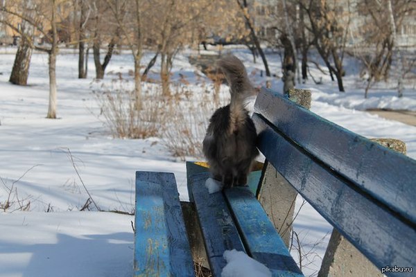 �����  -___-