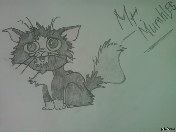 Говорят на пикабу любят котиков, постарался нарисовать