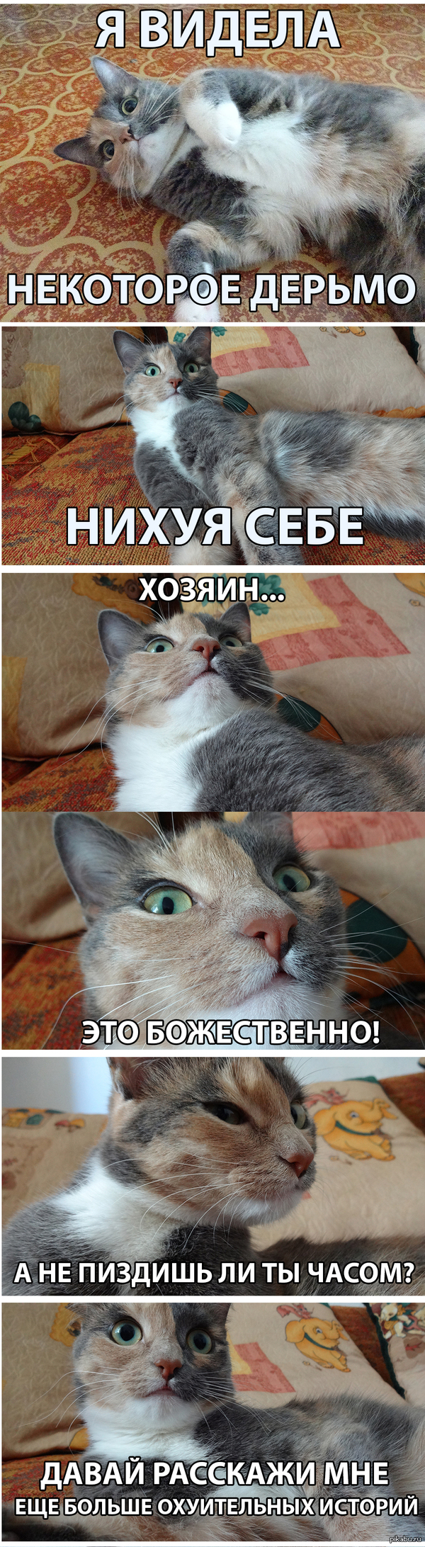 Это Харухи. И я все таки решил сделать подписи к ее фоткам, как к картинкам на случай важных переговоров :)