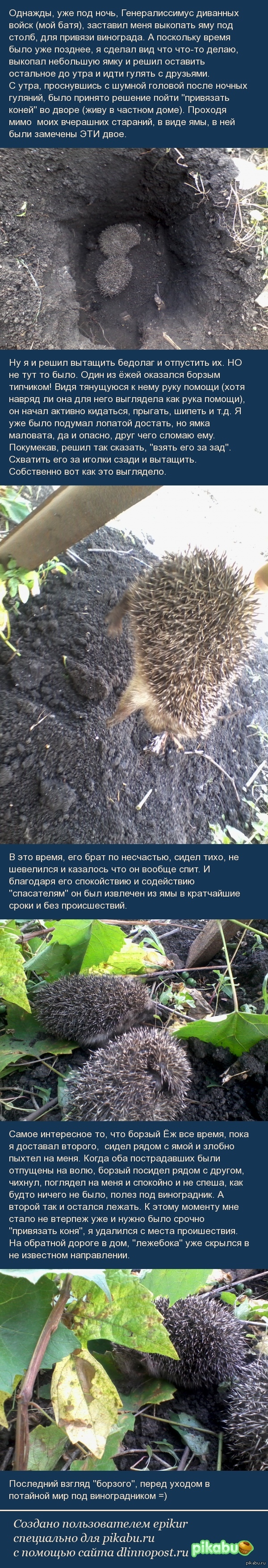         &quot;&quot;  &quot;&quot;