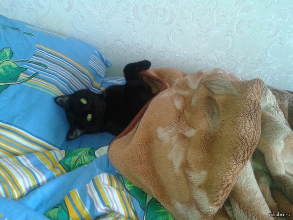 ����������=)