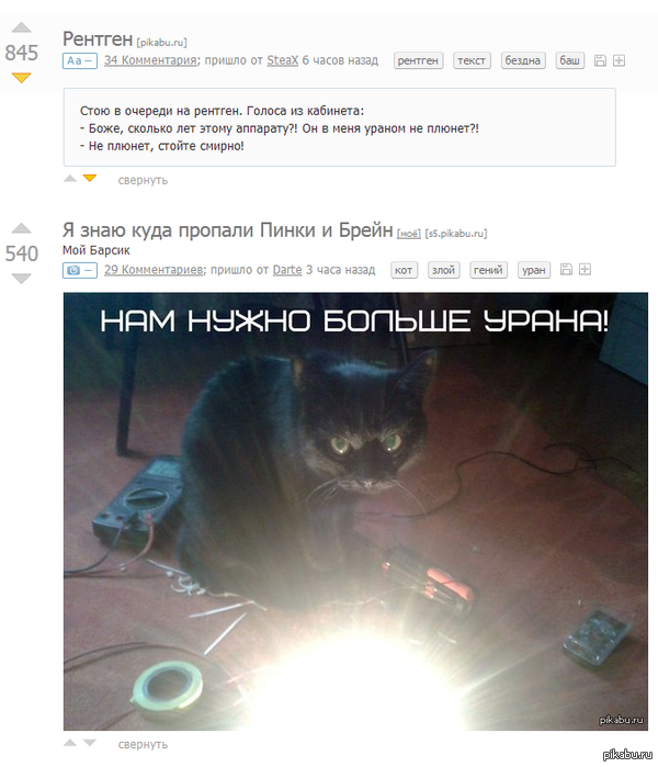 ��� ����� ����� ���� �����