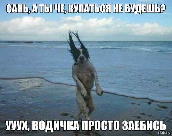 ����, �� ��������