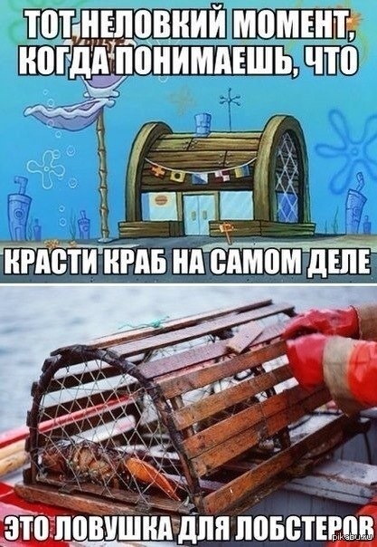 ��������)