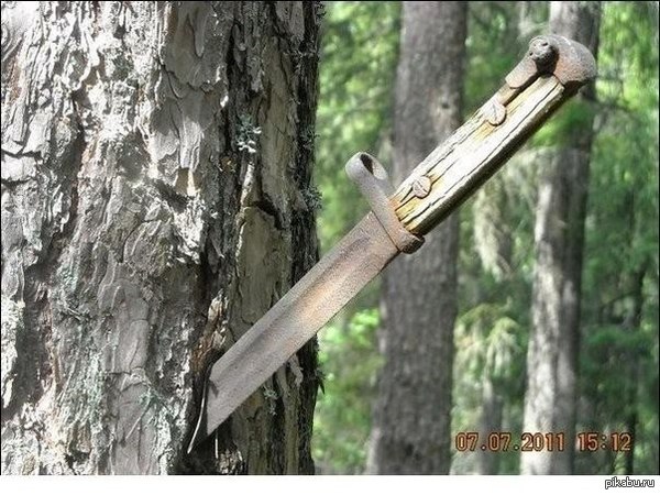 ��� �����