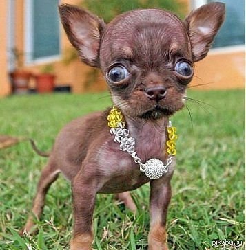 &quot;   . 5  , 5  .&quot;