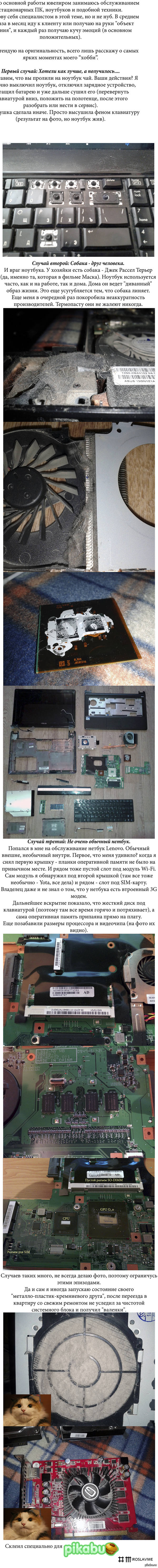 A little about laptops and their rich inner world - My, Notebook, Repair, Longpost, The photo