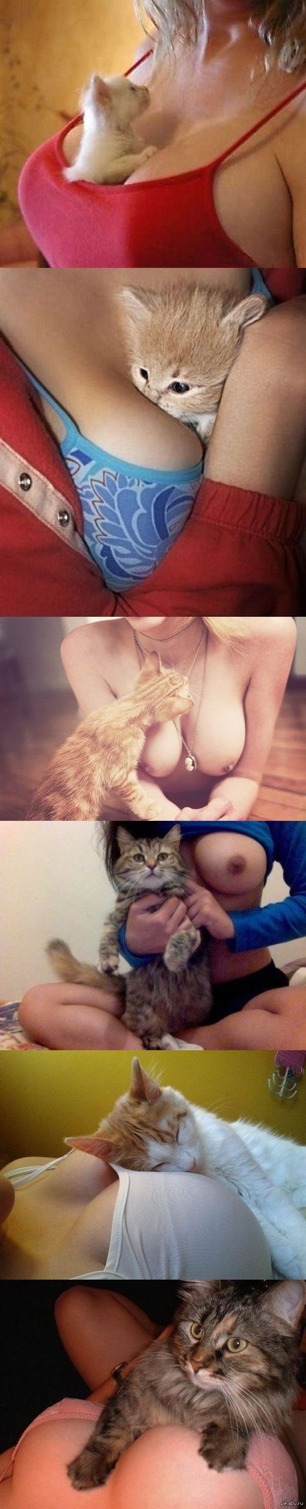 Girl with a kitten - cat, Longpost, NSFW, Breast, Girls