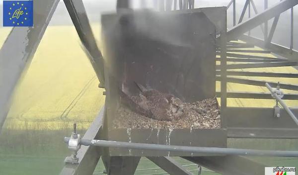 Сильный град онлайн