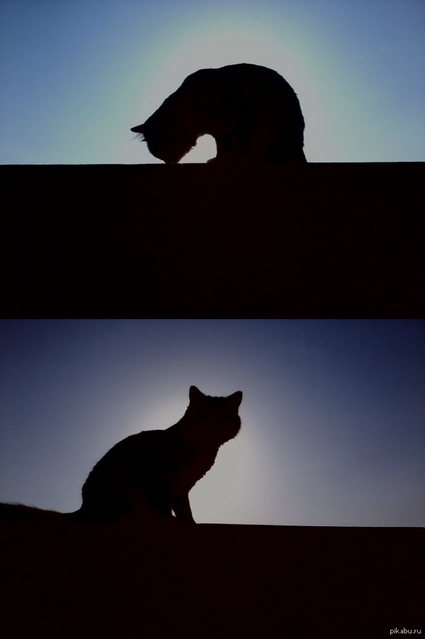 ����� ��� ������ ����, � ��� �����, �����, ����� �� �������. ��� ����� ����� �������� ����������