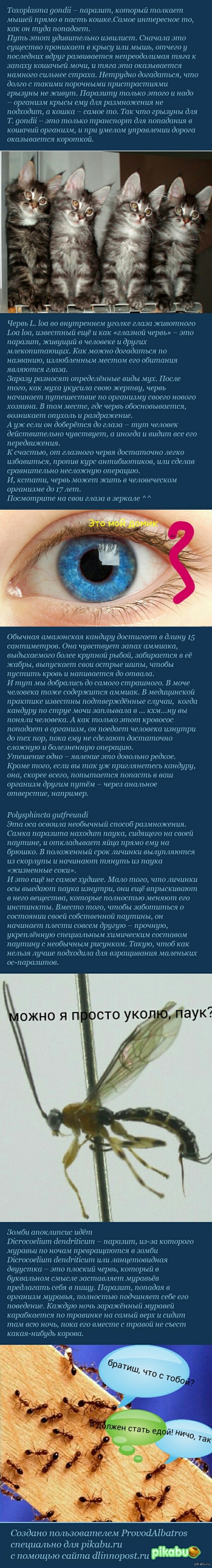 Уникальные паразиты