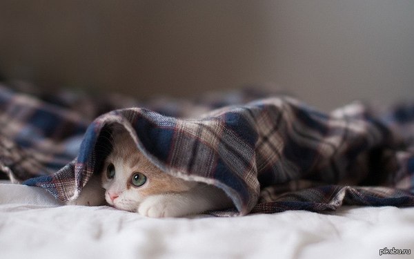  :3 