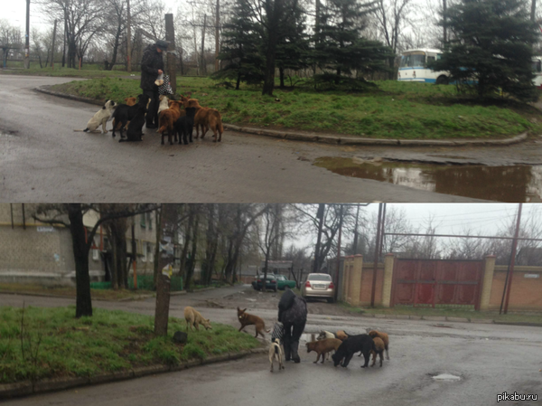 Давайте порадуемся, что в мире есть еще много не безразличных людей! Люди, будьте добрее!
