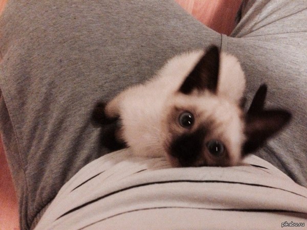 �� �� � � �������� ������ �������� ���� ���� �����.