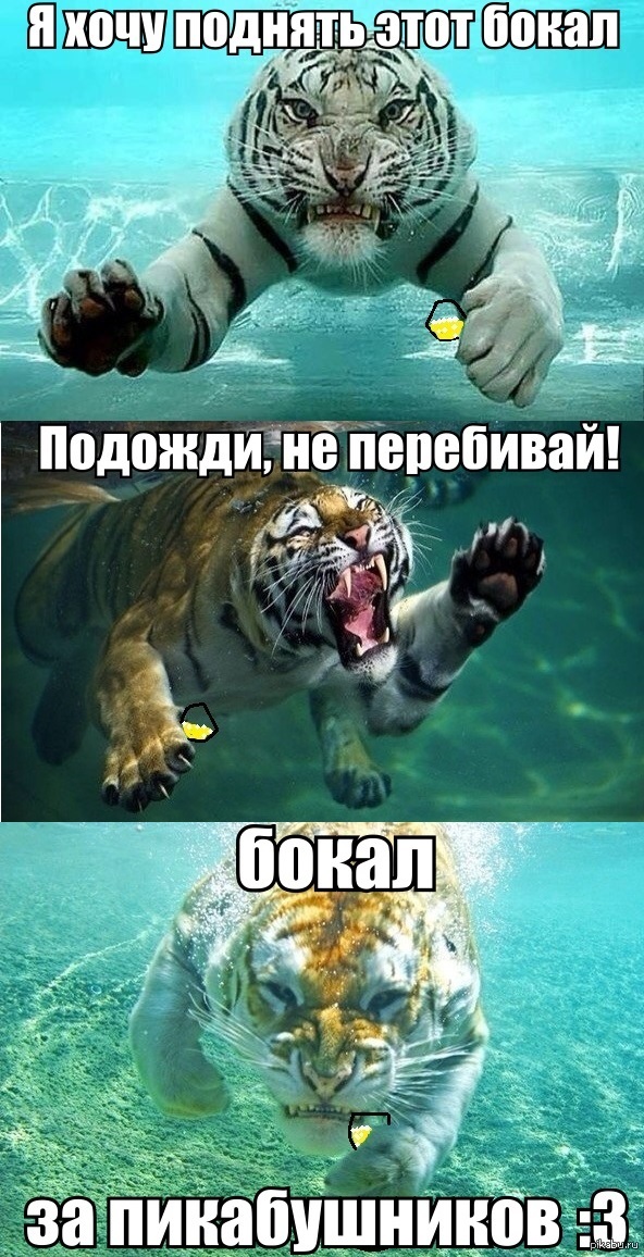   &quot;  &quot;,     )