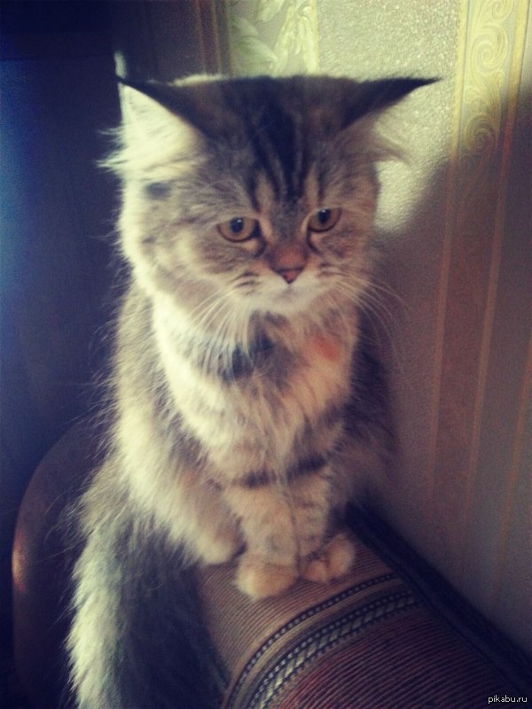 �������� � �������:)