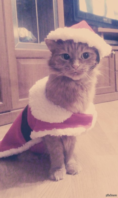 �� ���� �� ���������� ����� �����)