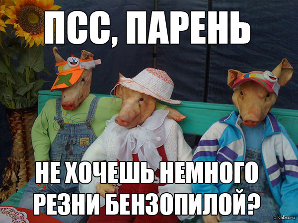 , ,   ?