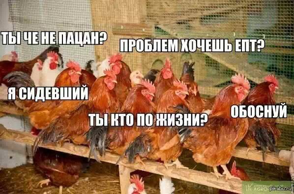 Думаю везде есть такие...