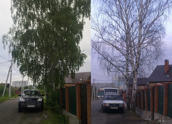 ������...