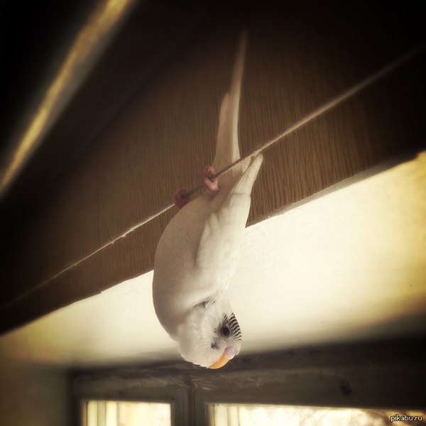 � ���� ���� �� �������... � ��� ����� ��� ����� � ����