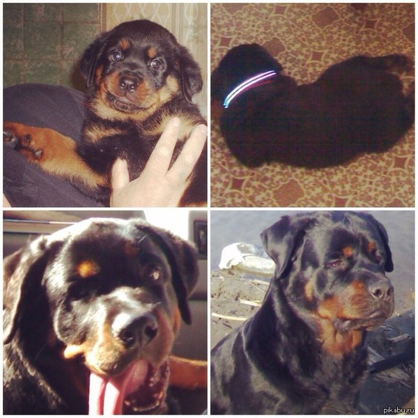 ��� ����� ��������� ����� � ���� ���������!