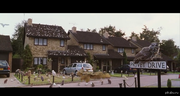 ����� ������ ���� ��� ������