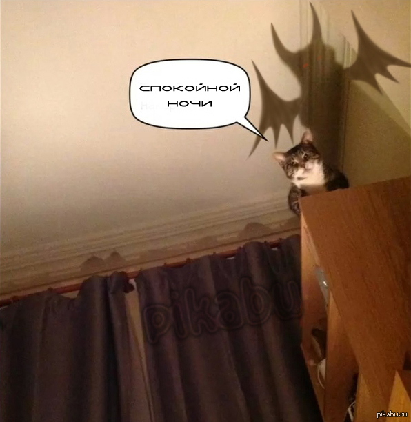 ��������� ���� :3