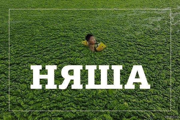 няшка словарь даля. няша тина. няша словарь даля. уголовный кодекс если вы няша и нечаянно. няшка это что означает.