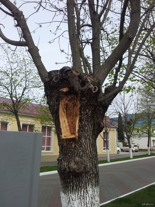 ��� �� ����� � ������ ���...