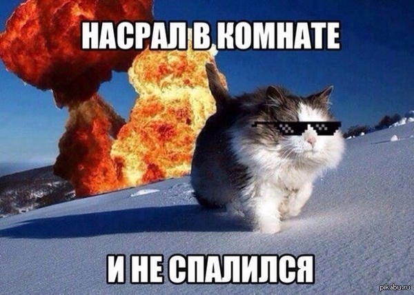 ������ ������:)