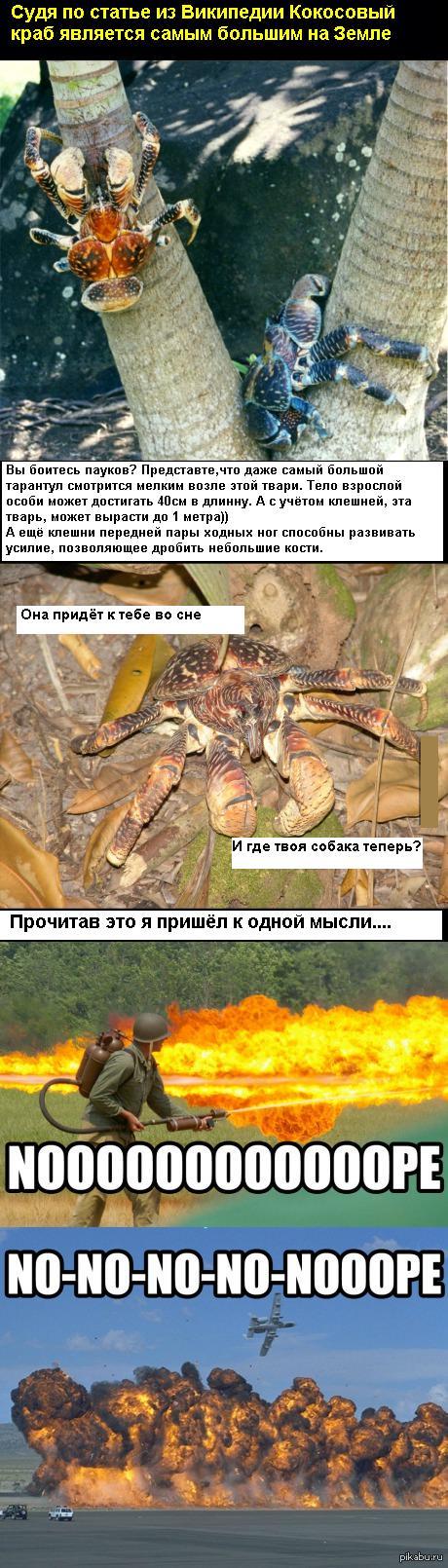 Хотите узнать больше о кокосовом крабе?