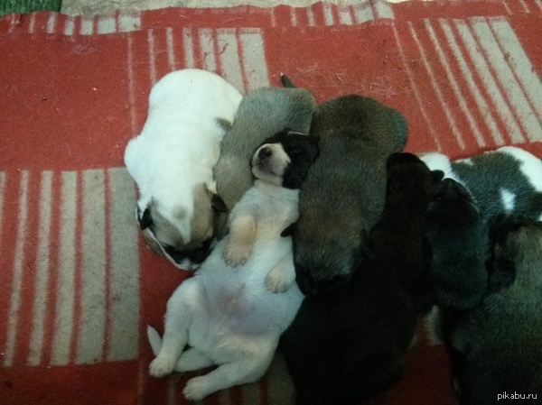 "��, �������, ��� ��� ������, �� ����������..."