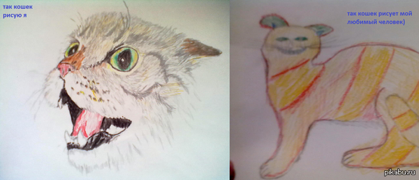 идеальная пара)