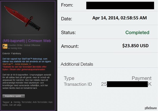  CS:GO    28 000$ 