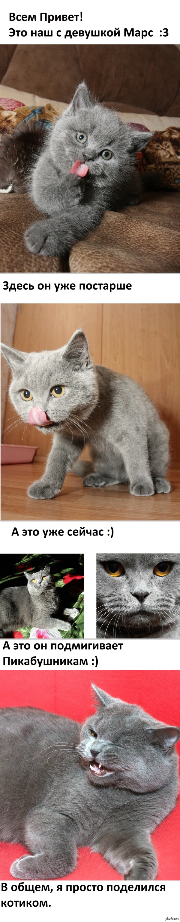 ������� �����? ��� ���.