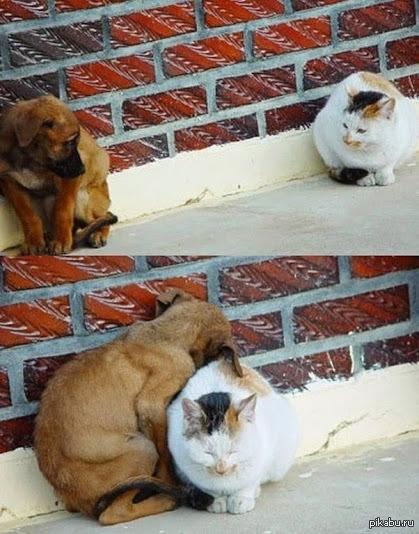 ������� ���� ������&amp;#65279;